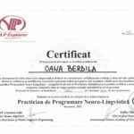 Practician NLP_Programare Neuro Lingvistica NLP_Oana Berdila